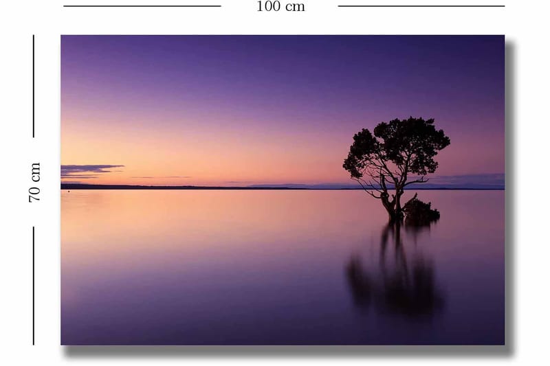 Canvastavla 70x100 cm - Ensam trädkrona speglar sig i en stilla sjö under en färgsprakande himmel vid skymning - Lila / Orange / Svart - Inredning & dekor - Tavlor & konst - Canvastavla
