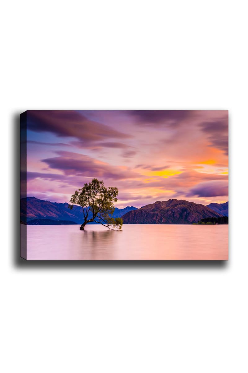 Canvastavla 70x100 cm - Ensam trädstam i en spegelblanka sjö med fjärran berg i bakgrunden under en färgsprakande himmel vid solnedgången - Lila / Grön / Orange - Inredning & dekor - Tavlor & konst - Canvastavla