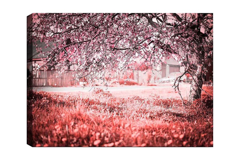 Canvastavla 70x100 cm - Ett blommande körsbärsträd i en romantisk och drömlik miljö - Rosa / Grå - Inredning & dekor - Tavlor & konst - Canvastavla