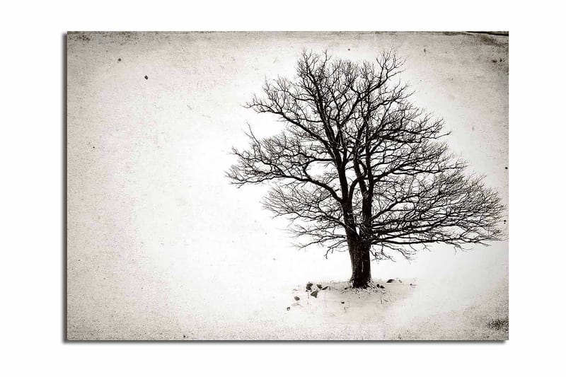 Canvastavla 70x100 cm - Ett ensamt, avlövade träd i en snöig landskapsscen, Svart / Vitt
