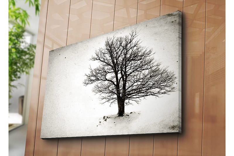 Canvastavla 70x100 cm - Ett ensamt, avlövade träd i en snöig landskapsscen - Svart / Vitt - Inredning & dekor - Tavlor & konst - Canvastavla