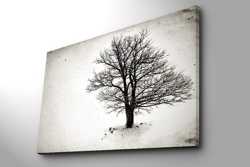 Canvastavla 70x100 cm - Ett ensamt, avlövade träd i en snöig landskapsscen - Svart / Vitt - Inredning & dekor - Tavlor & konst - Canvastavla