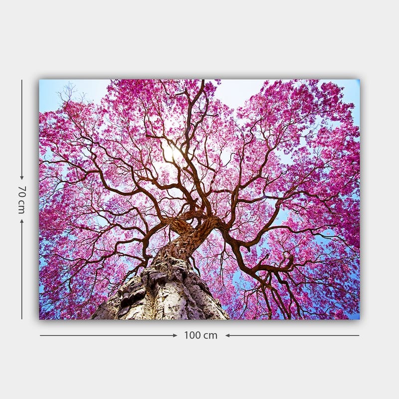 Canvastavla 70x100 cm - Ett majestätiskt körsbärsträd med blommande rosa blommor som sträcker sig mot en klar blå himmel - Rosa / Brun / Blå - Inredning & dekor - Tavlor & konst - Canvastavla