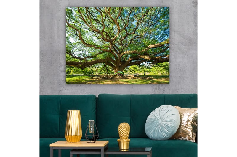 Canvastavla 70x100 cm - Ett stort och majestätiskt träd med utbredda grenar och frodig grönska - Grön / Brun - Inredning & dekor - Tavlor & konst - Canvastavla