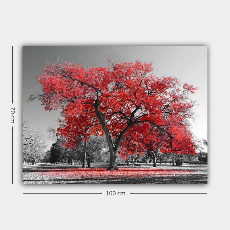 Canvastavla 70x100 cm - Ett stort rött träd i en svartvit parklandskap - Röd / Svart - Inredning & dekor - Tavlor & konst - Canvastavla