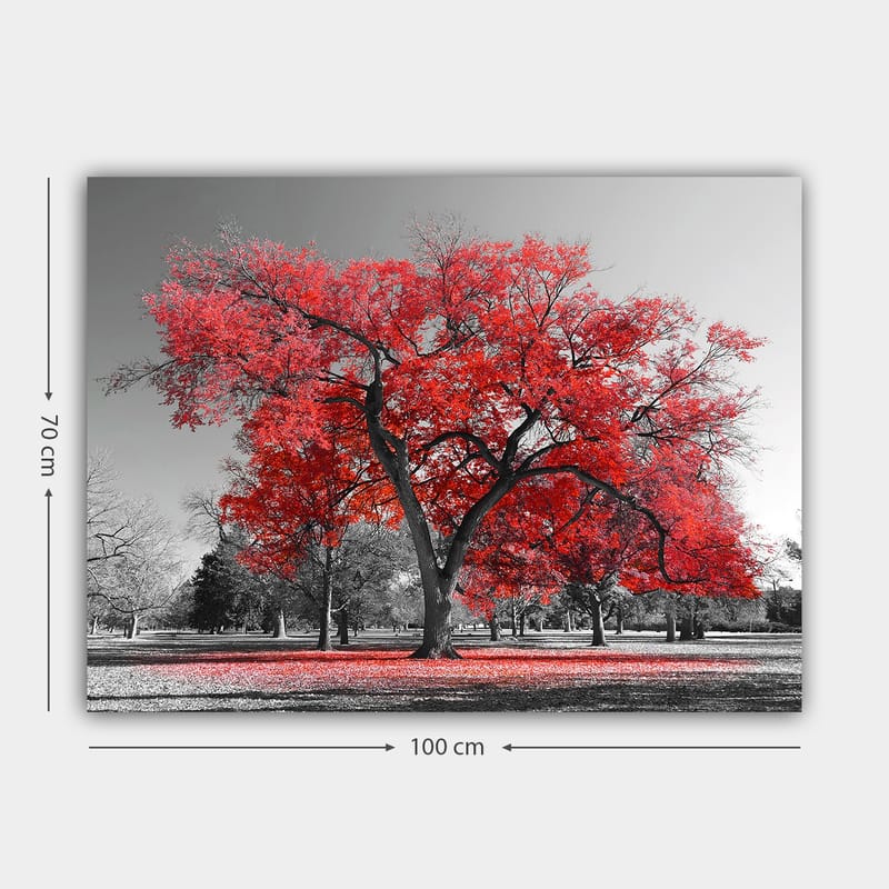 Canvastavla 70x100 cm - Ett stort rött träd i en svartvit parklandskap - Röd / Svart - Inredning & dekor - Tavlor & konst - Canvastavla