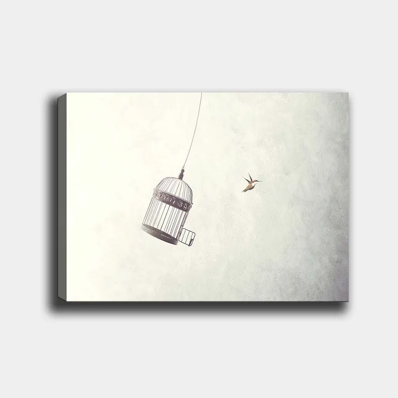 Canvastavla 70x100 cm - Fågelbur hänger i luften med en fågel som flyger i närheten - Grå / Svart / Vit - Inredning & dekor - Tavlor & konst - Canvastavla