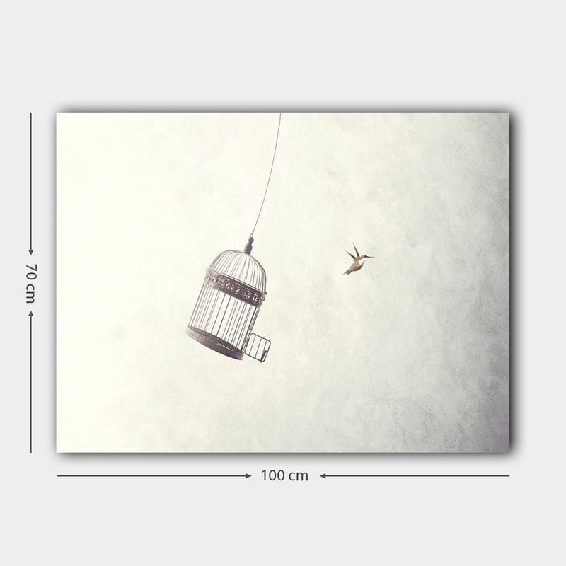 Canvastavla 70x100 cm - Fågelbur hänger i luften med en fågel som flyger i närheten - Grå / Svart / Vit - Inredning & dekor - Tavlor & konst - Canvastavla