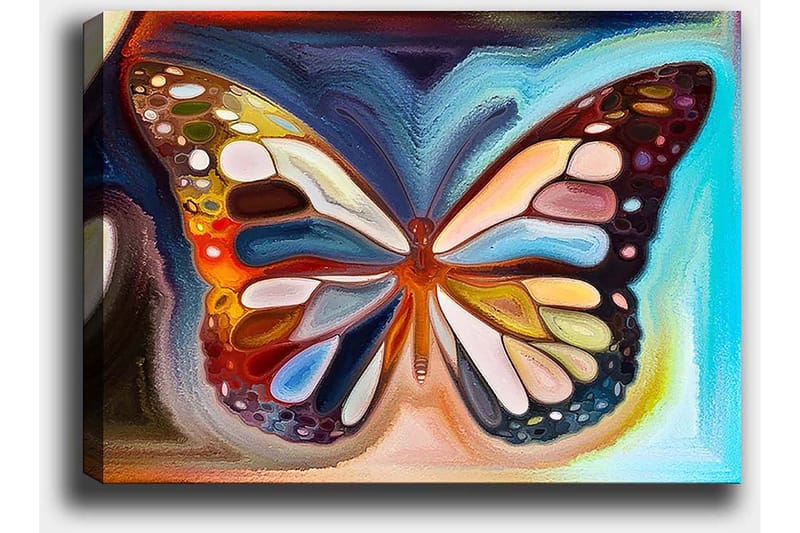 Canvastavla 70x100 cm - Färgglad fjäril med detaljerade vingar i olika nyanser - Orange / Blå / Vit - Inredning & dekor - Tavlor & konst - Canvastavla