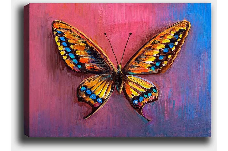 Canvastavla 70x100 cm - Färgglad fjäril med detaljerade vingar i orange och blått - Orange / Blå / Lila - Inredning & dekor - Tavlor & konst - Canvastavla
