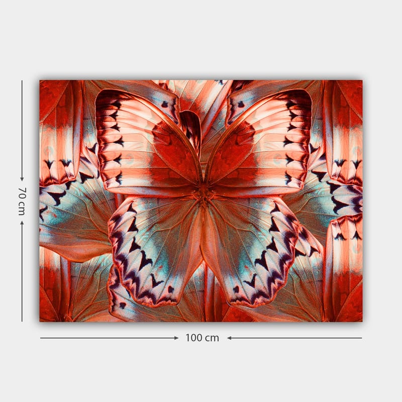 Canvastavla 70x100 cm - Färgglad fjäril med detaljerade vingar i röd och blå nyans - Röd / Blå - Inredning & dekor - Tavlor & konst - Canvastavla