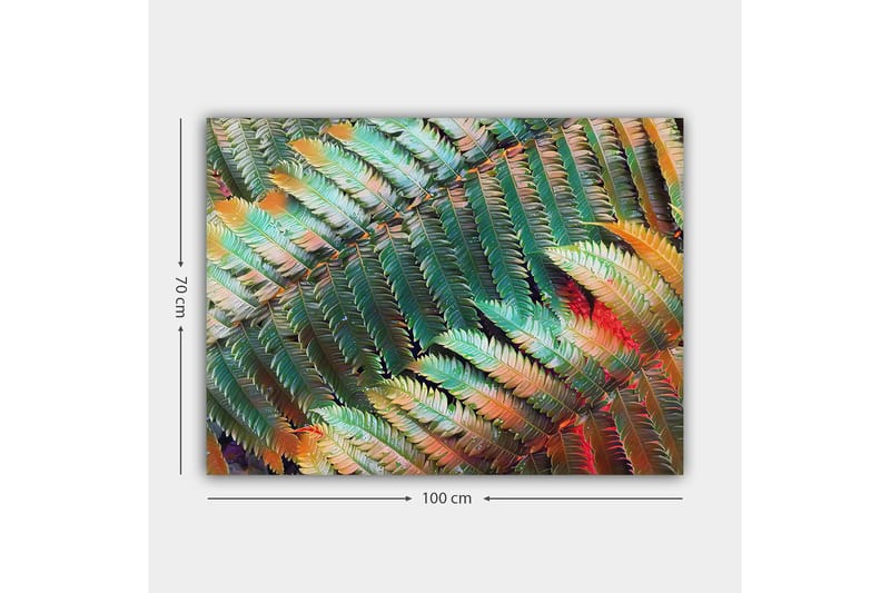 Canvastavla 70x100 cm - Färgglad komposition av ferns med varierande gröna och orange nyanser - Grön / Orange - Inredning & dekor - Tavlor & konst - Canvastavla