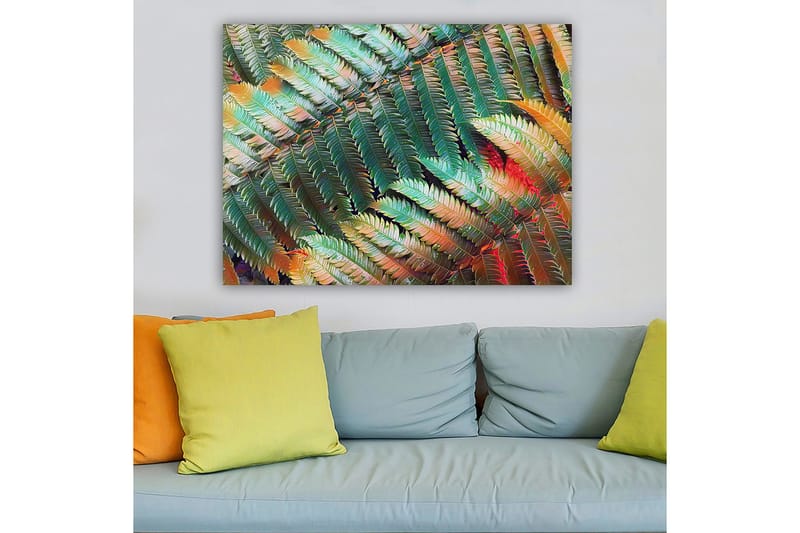 Canvastavla 70x100 cm - Färgglad komposition av ferns med varierande gröna och orange nyanser - Grön / Orange - Inredning & dekor - Tavlor & konst - Canvastavla