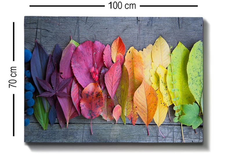 Canvastavla 70x100 cm - Färgglad samling av höstlöv i olika nyanser som visar naturens skönhet - Röd / Gul / Grön - Inredning & dekor - Tavlor & konst - Canvastavla