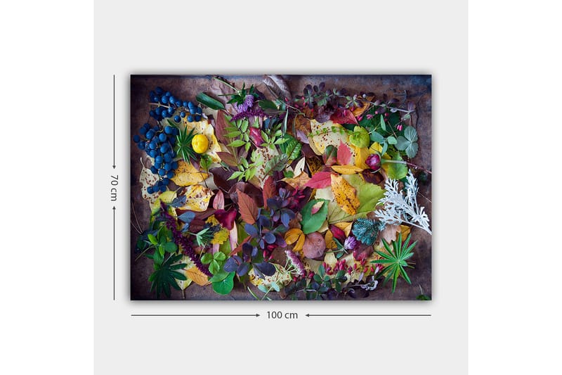 Canvastavla 70x100 cm - Färgglad samling av höstlöv och bär - Grön / Röd / Gul - Inredning & dekor - Tavlor & konst - Canvastavla