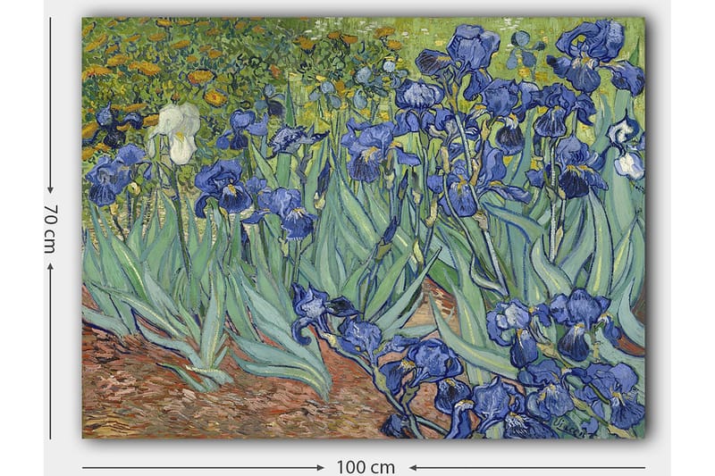 Canvastavla 70x100 cm - Färgglad samling av irisblommor i olika nyanser av blått - Blå / Grön / Vit - Inredning & dekor - Tavlor & konst - Canvastavla