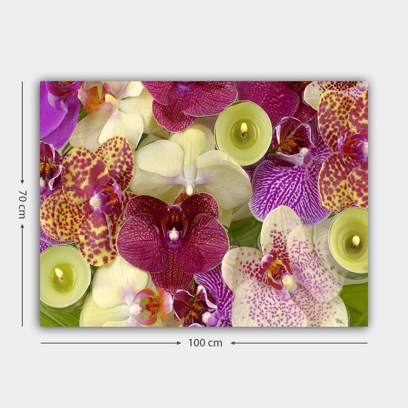Canvastavla 70x100 cm - Färgglad samling av orkidéer i olika nyanser och former - Lila / Vit / Gul - Inredning & dekor - Tavlor & konst - Canvastavla