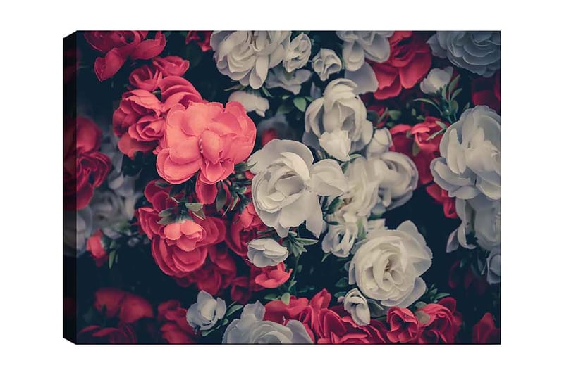 Canvastavla 70x100 cm - Färgglada blommor i röd och vit nyans - Röd / Vit - Inredning & dekor - Tavlor & konst - Canvastavla