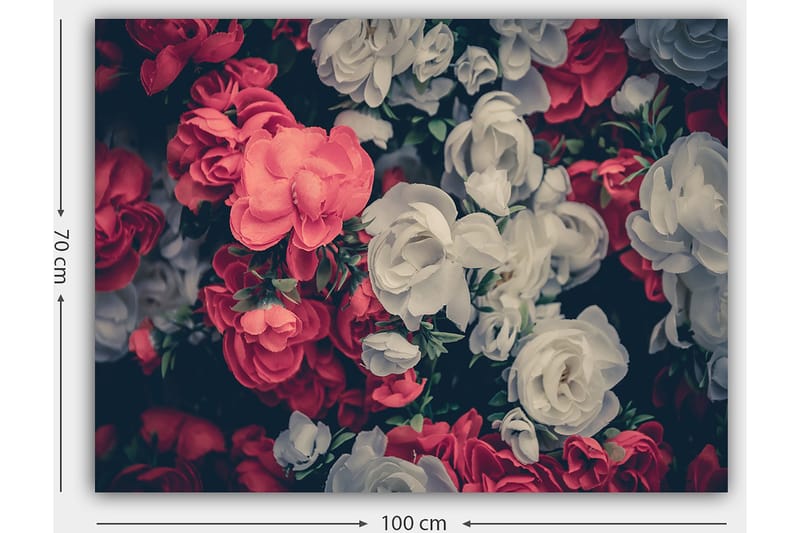 Canvastavla 70x100 cm - Färgglada blommor i röd och vit nyans - Röd / Vit - Inredning & dekor - Tavlor & konst - Canvastavla