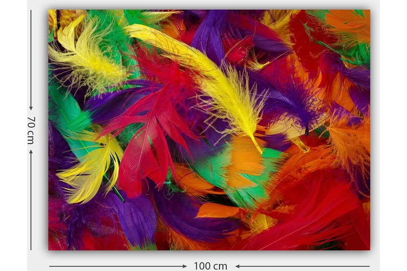 Canvastavla 70x100 cm - Färgglada fjädrar i en livlig sammansättning - Röd / Gul / Grön - Inredning & dekor - Tavlor & konst - Canvastavla