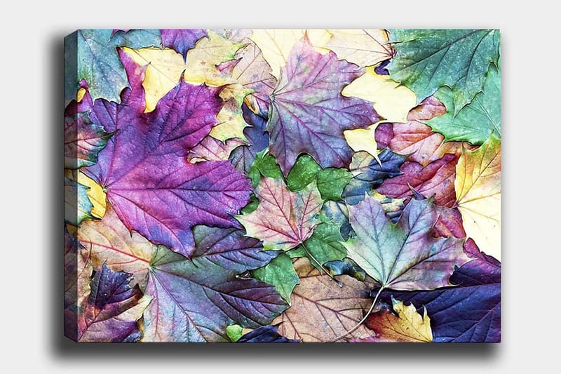 Canvastavla 70x100 cm - Färgglada höstlöv i en harmonisk komposition - Lila / Grön / Gul - Inredning & dekor - Tavlor & konst - Canvastavla