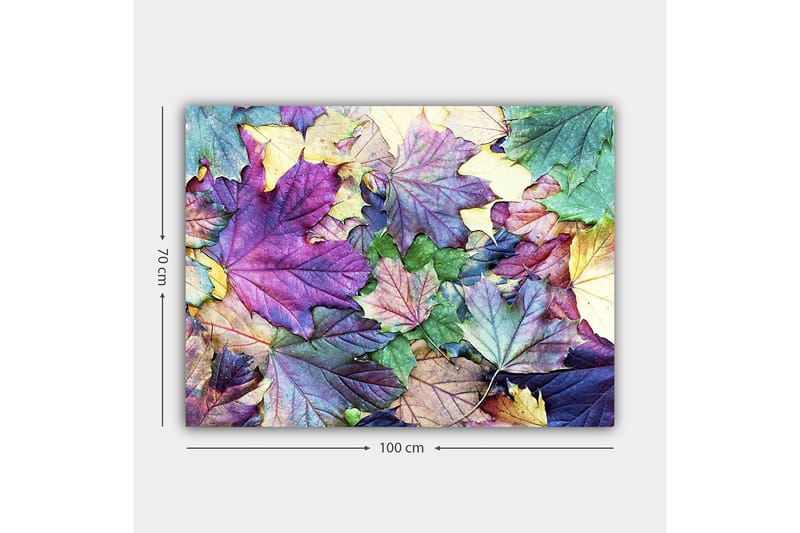 Canvastavla 70x100 cm - Färgglada höstlöv i en harmonisk komposition - Lila / Grön / Gul - Inredning & dekor - Tavlor & konst - Canvastavla