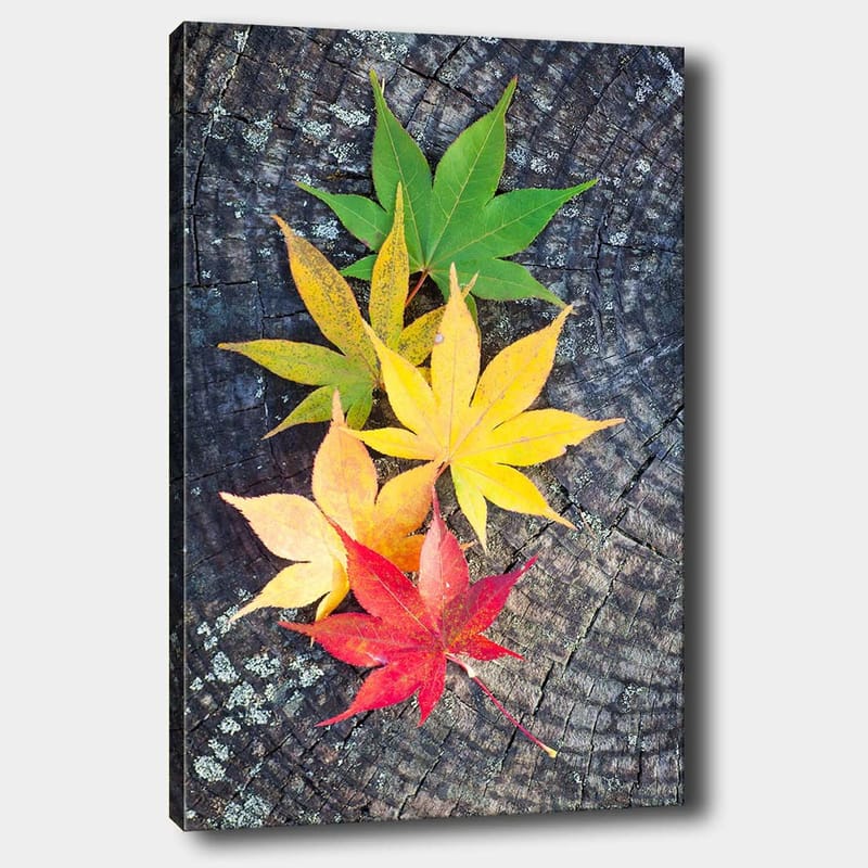 Canvastavla 70x100 cm - Färgglada höstlöv i olika nyanser på en träyta - Grön / Gul / Röd - Inredning & dekor - Tavlor & konst - Canvastavla