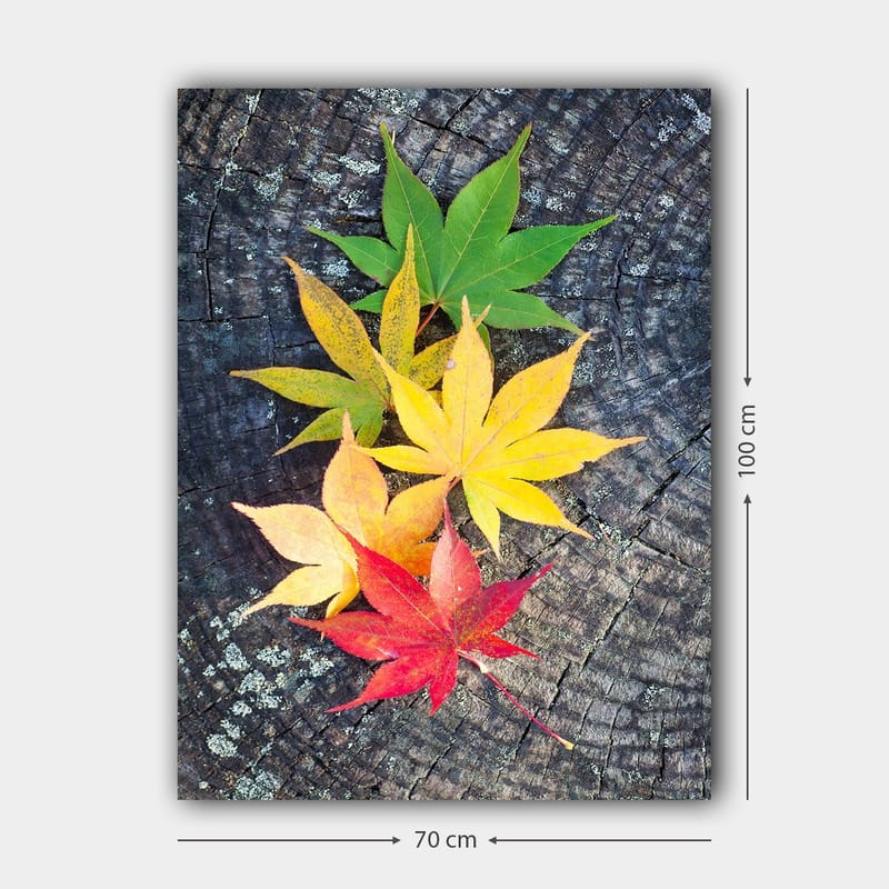 Canvastavla 70x100 cm - Färgglada höstlöv i olika nyanser på en träyta - Grön / Gul / Röd - Inredning & dekor - Tavlor & konst - Canvastavla
