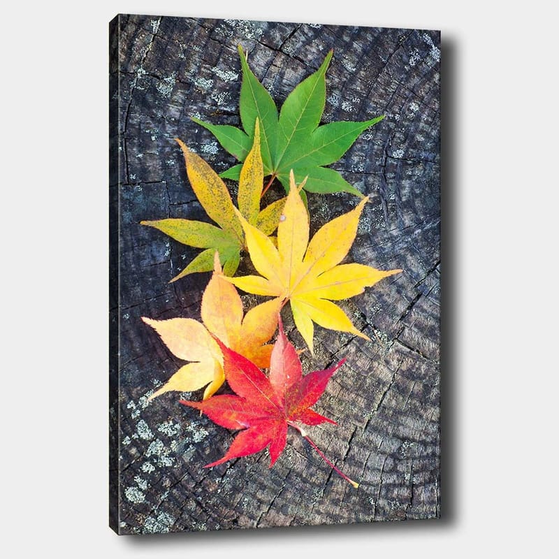 Canvastavla 70x100 cm - Färgglada höstlöv i olika nyanser på en träyta - Grön / Gul / Röd - Inredning & dekor - Tavlor & konst - Canvastavla
