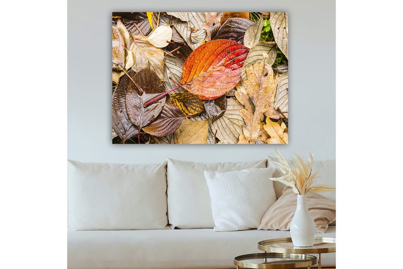 Canvastavla 70x100 cm - Färgglada höstlöv på en fuktig markyta - Röd / Brun / Gul - Inredning & dekor - Tavlor & konst - Canvastavla