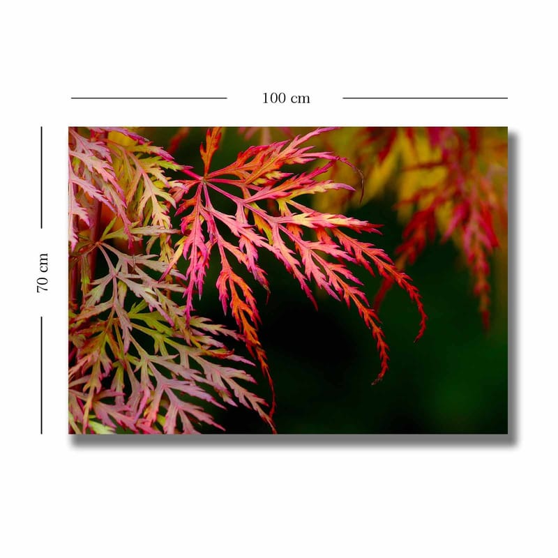 Canvastavla 70x100 cm - Färgglada lönnlöv i olika nyanser av rött och rosa - Röd / Rosa / Grön - Inredning & dekor - Tavlor & konst - Canvastavla