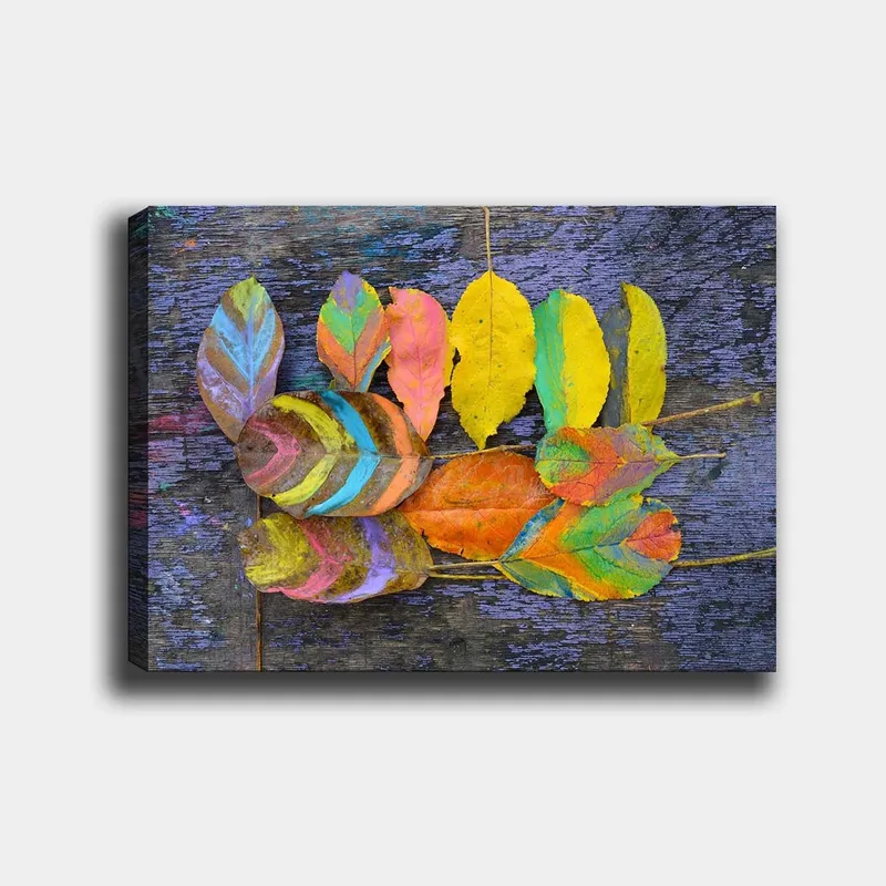 Canvastavla 70x100 cm - Färgglada löv arrangerade på en mörk bakgrund, Gul / Orange / Grön