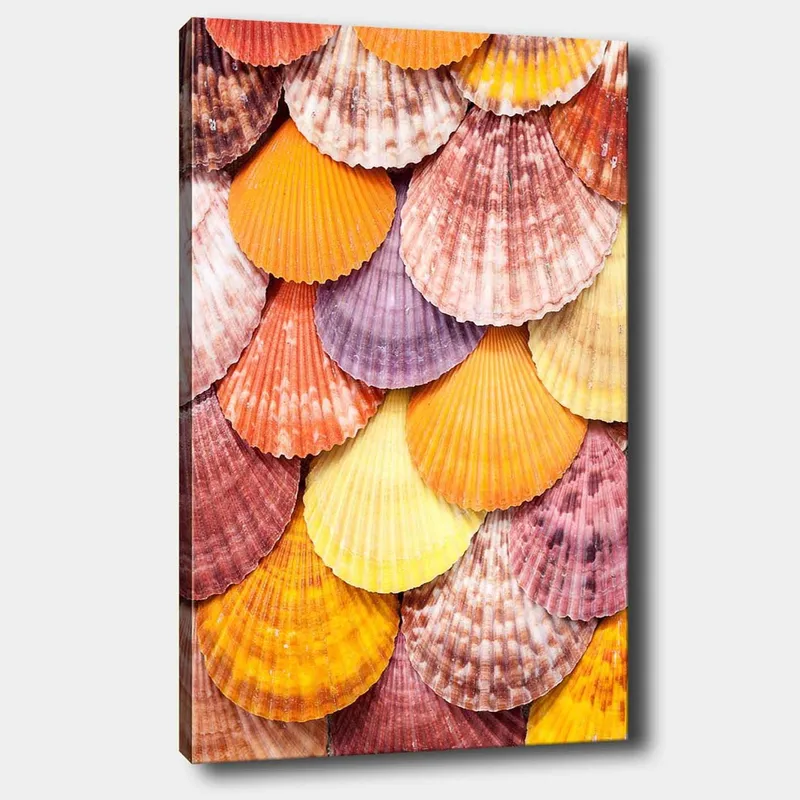 Canvastavla 70x100 cm - Färgglada snäckskal i ett vackert mönster, Orange / Lila / Rosa
