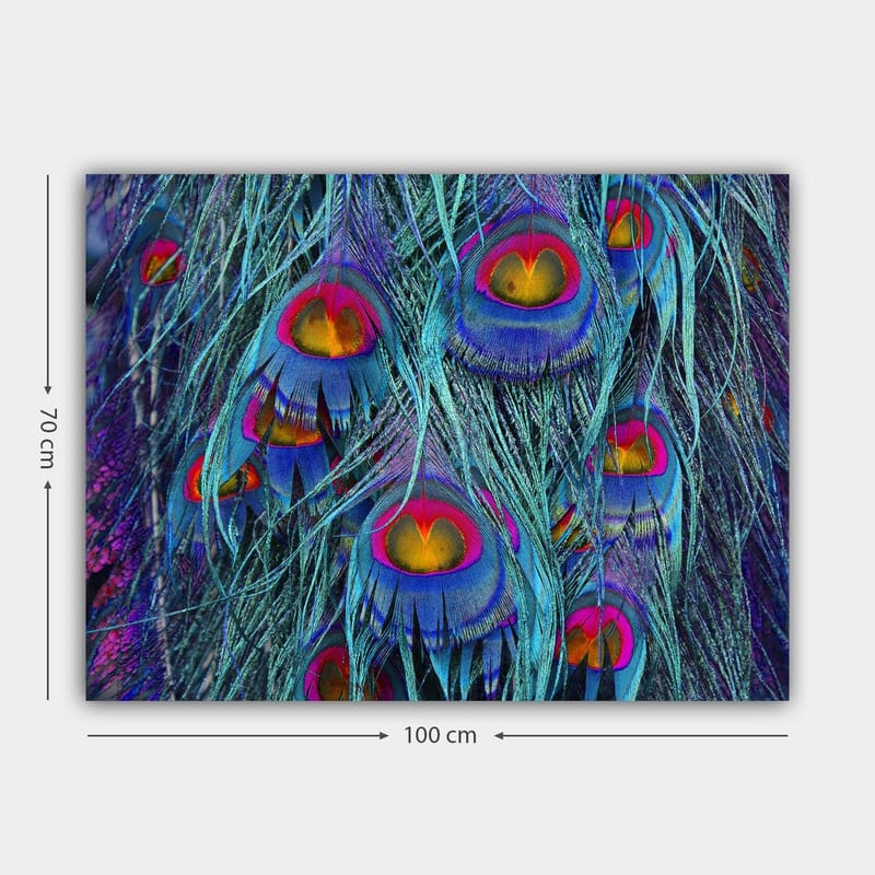 Canvastavla 70x100 cm - Färgglada påfågelfjädrar med en hypnotiserande mönstring - Turkos / Lila / Röd - Inredning & dekor - Tavlor & konst - Canvastavla