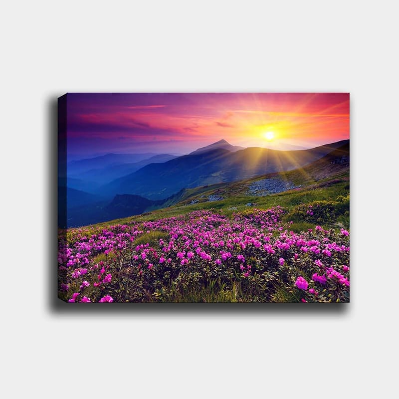 Canvastavla 70x100 cm - Färgsprakande bergslandskap med blomstrande rosa blommor i förgrunden och en soluppgång i bakgrunden - Rosa / Lila / Guld - Inredning & dekor - Tavlor & konst - Canvastavla