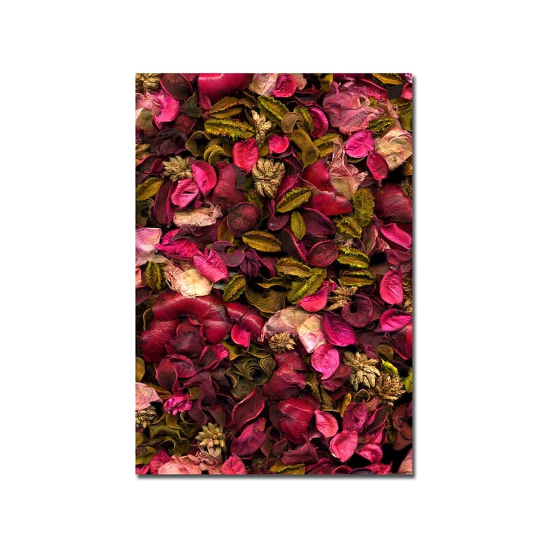 Canvastavla 70x100 cm - Färgsprakande samling av torkade blommor och blad - Rosa / Grön / Brun - Inredning & dekor - Tavlor & konst - Canvastavla