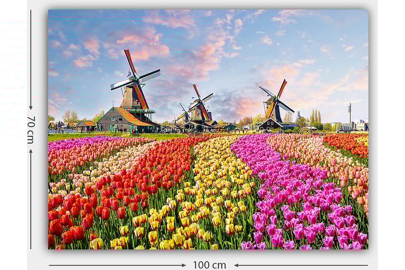 Canvastavla 70x100 cm - Färgsprakande tulpanfält med vindmöllor i bakgrunden - Röd / Rosa / Gul - Inredning & dekor - Tavlor & konst - Canvastavla