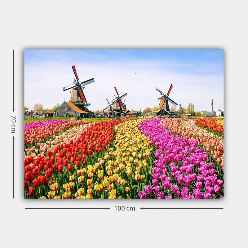 Canvastavla 70x100 cm - Färgsprakande tulpanodling med vindmölla i bakgrunden - Röd / Gul / Rosa - Inredning & dekor - Tavlor & konst - Canvastavla