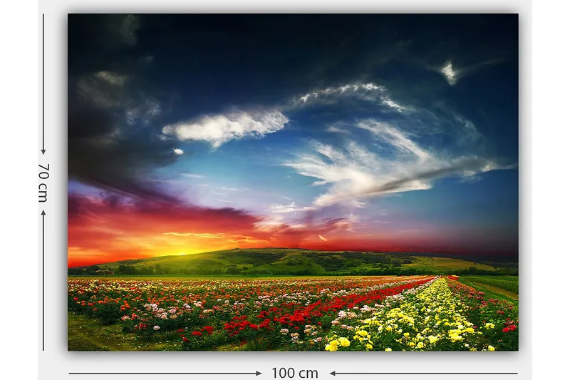 Canvastavla 70x100 cm - Färgstark solnedgång över ett blomsterfält med varierande blommor i förgrunden - Röd / Gul / Grön - Inredning & dekor - Tavlor & konst - Canvastavla