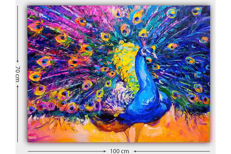 Canvastavla 70x100 cm - Färgstark påfågel med utspridda fjädrar som skapar en dramatisk effekt - Blå / Lila / Gul - Inredning & dekor - Tavlor & konst - Canvastavla