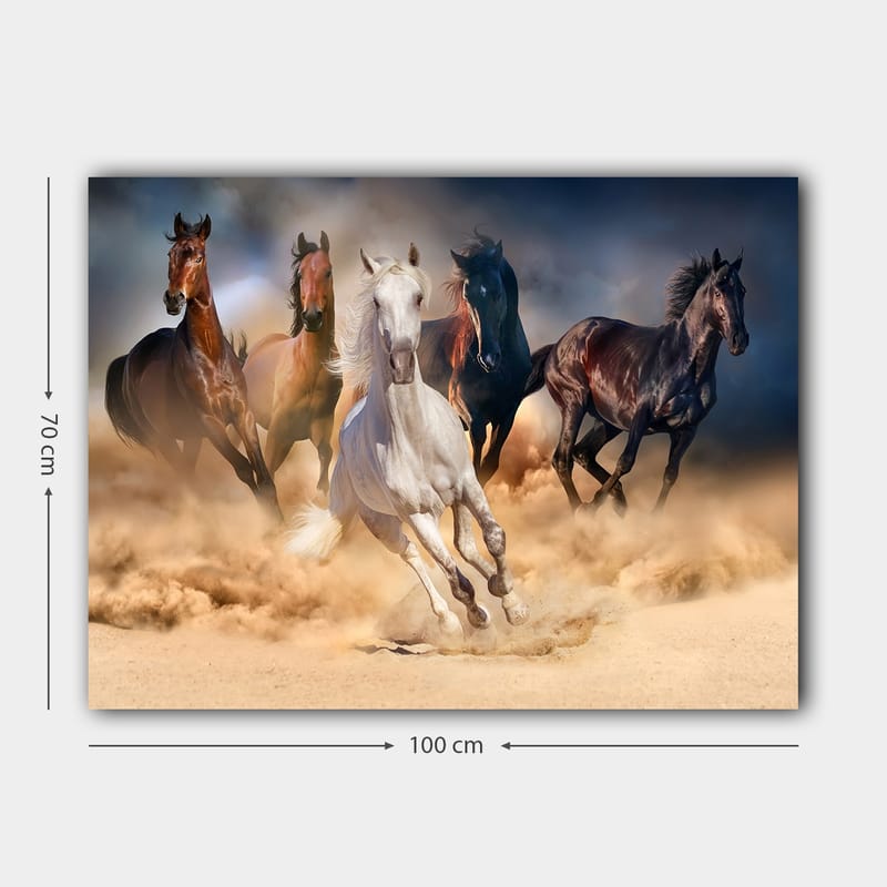 Canvastavla 70x100 cm - Fem hästar i full galopp genom sand och damm - Vit / Brun / Svart - Inredning & dekor - Tavlor & konst - Canvastavla