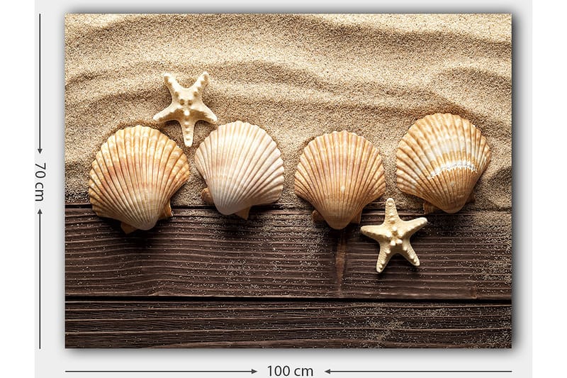 Canvastavla 70x100 cm - Fem snäckor och en sjöstjärna på sandig bakgrund - Beige / Brun / Vit - Inredning & dekor - Tavlor & konst - Canvastavla