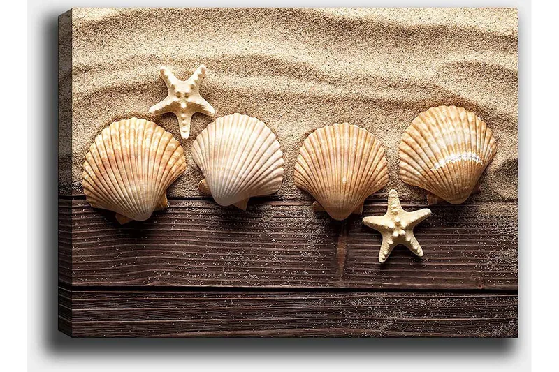 Canvastavla 70x100 cm - Fem snäckor och en sjöstjärna på sandig bakgrund - Beige / Brun / Vit - Inredning & dekor - Tavlor & konst - Canvastavla