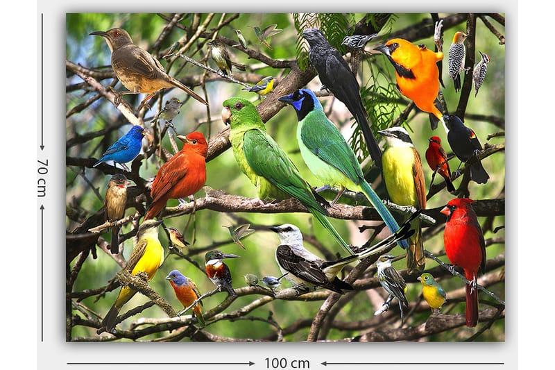 Canvastavla 70x100 cm - Flera färgglada fåglar som sitter på grenar i en livlig naturmiljö - Grön / Röd / Blå - Inredning & dekor - Tavlor & konst - Canvastavla