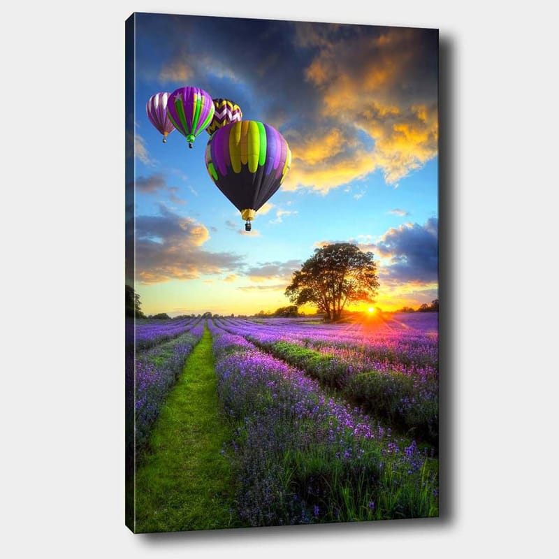 Canvastavla 70x100 cm - Flera färgglada luftballonger sväva över ett lavendelfält i solnedgångens ljus - Lila / Grön / Svart - Inredning & dekor - Tavlor & konst - Canvastavla
