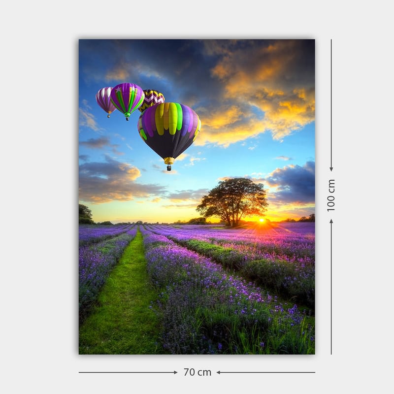 Canvastavla 70x100 cm - Flera färgglada luftballonger sväva över ett lavendelfält i solnedgångens ljus - Lila / Grön / Svart - Inredning & dekor - Tavlor & konst - Canvastavla