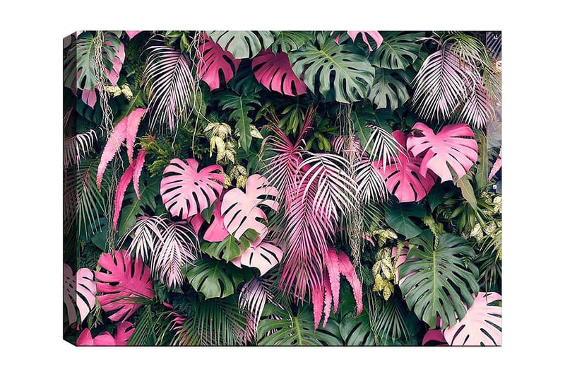 Canvastavla 70x100 cm - Frodig samling av tropiska växter med stora, färgglada blad, Grön / Rosa