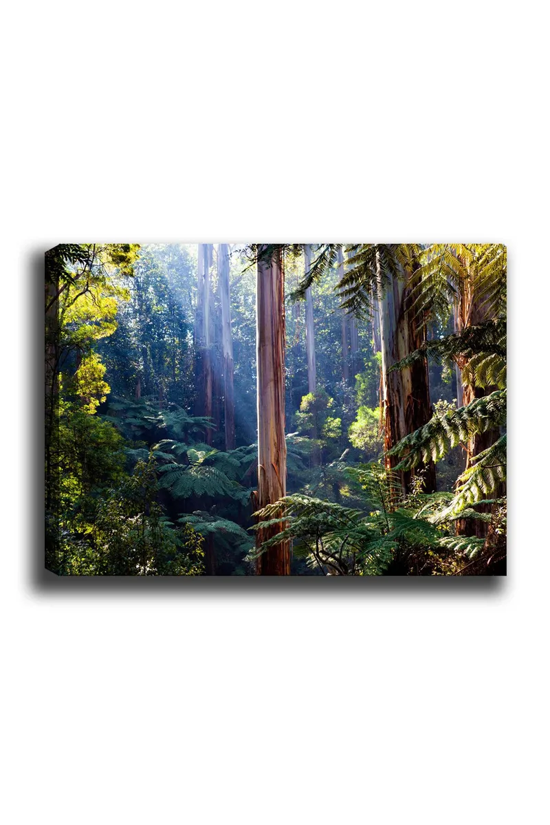 Canvastavla 70x100 cm - Frodig skog med höga träd och gröna växter som skapar en lugn och naturnära atmosfär, Grön / Brun / Ljusblå