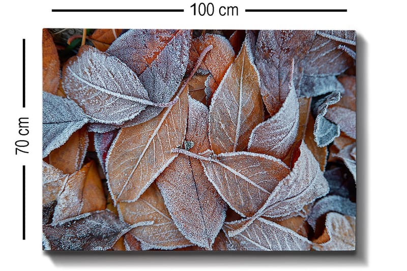 Canvastavla 70x100 cm - Frostiga löv i höstfärger - Orange / Grå / Vit - Inredning & dekor - Tavlor & konst - Canvastavla