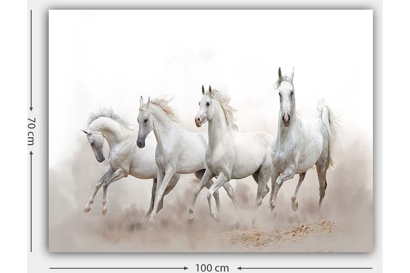 Canvastavla 70x100 cm - Fyra vita hästar som galopperar framåt i en dimmig miljö - Vit / Ljusgrå - Inredning & dekor - Tavlor & konst - Canvastavla